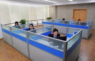 蒼南縣96345社會救助服務熱線今日開通，365天24小時全天候守護民生
