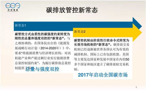 構(gòu)建大型控排企業(yè)高效碳資產(chǎn)管理體系 策略、實踐與數(shù)字化工具